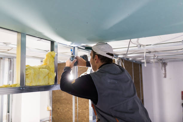 Best Insulation Maintenance and Repair in Frisco, TX