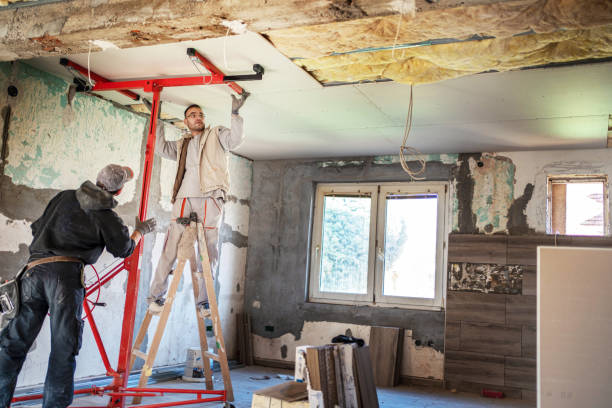 Best Insulation Maintenance and Repair in Frisco, TX
