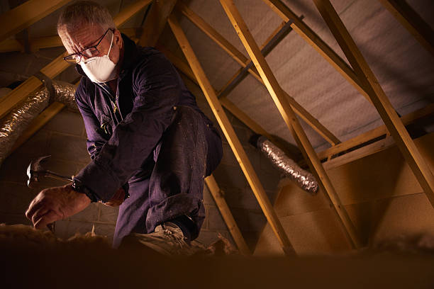 Best Residential Insulation in Frisco, TX